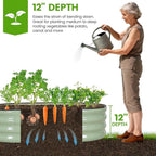 G GOOD GAIN Raised Garden Beds - 4x2x1ft Galvanized Planter Boxes Kit with Protective Tape & Gloves & Tools | Oval Metal Outdoor Raised Bed for Gardening Vegetables, Fruits, Flowers, Herbs, Green