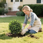 Artificial Topiary Trees Outdoor 2 Pack, 24.5" Boxwood Ball Faux Plants with Stakes, UV Resistant Fake Evergreen Shrubs for Front Porch Planters Garden Spring Decor-Green