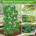 ROADPLUM 2 Pack Cucumber Trellis for Raised Garden Bed, Outdoor Sturdy Metal A-Frame Cucumber Trellis Support for Climbing Plants Vegetables with Accessories, Easy Installation & Easy Harvesting