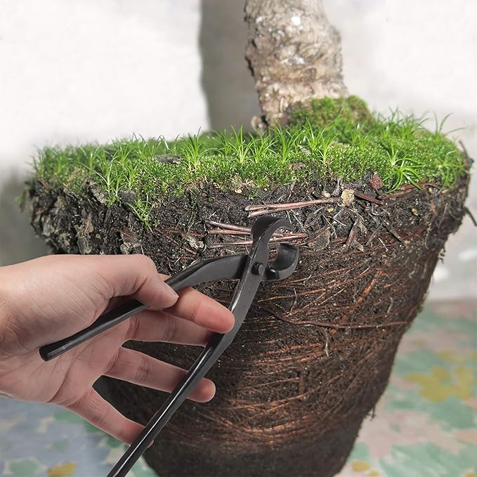 BambooMN 7.5" Root Cutter Tool - 3 Pieces