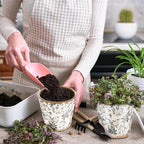 Beeveer Farmhouse Ceramic Planter 5.5 Inch Large Plants Pot Crack Beige Gray Flowers Plant Pots with Drainage Hole Indoor Plants Kitchen Rustic Antique Decor Gift