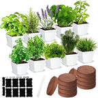 Ripeng 10 Set Indoor Herb Garden Starter Kit, Herb Growing Kit with Pots, Nutritional Soil, Plant Markers, Kitchen Window Planter, Gardening Gift for Women Men Indoor Outdoor