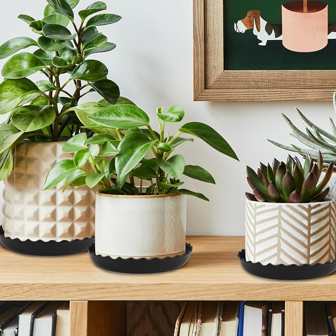Wave Plant Saucer - 6/8/10 inch Plant Trays to Catch Water, Plastic Flower Pot Saucers for Indoor and Outdoor Garden（6 Packs ）