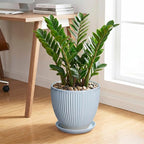 10 Inch Pots for Plants, Ceramic Plant Pots with Drainage Hole and Saucer, Modern Flower Pots for Indoor Plants, Decorative Large Planter, Entryway Decor, Gardening Gifts, Light Blue