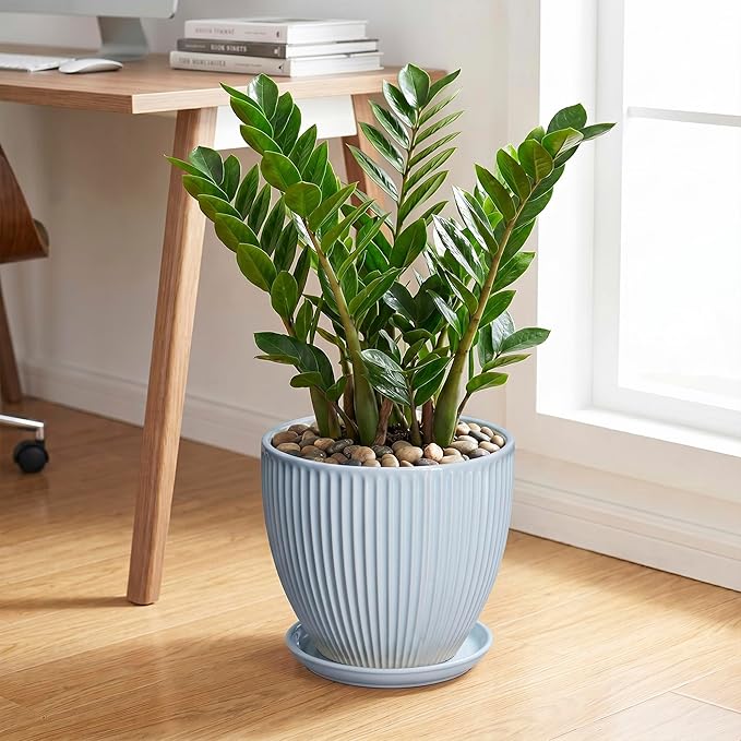 10 Inch Pots for Plants, Ceramic Plant Pots with Drainage Hole and Saucer, Modern Flower Pots for Indoor Plants, Decorative Large Planter, Entryway Decor, Gardening Gifts, Light Blue
