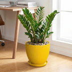 Ceramic Planters for Indoor Plants, 10 Inch Plant Pot Indoor with Drainage Hole and Saucer, Modern Large Flower Pots for Indoor Plants, Round Planter, Home Garden Decor, Gardening Gifts, Yellow