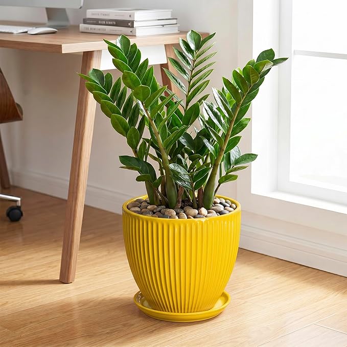Ceramic Planters for Indoor Plants, 10 Inch Plant Pot Indoor with Drainage Hole and Saucer, Modern Large Flower Pots for Indoor Plants, Round Planter, Home Garden Decor, Gardening Gifts, Yellow