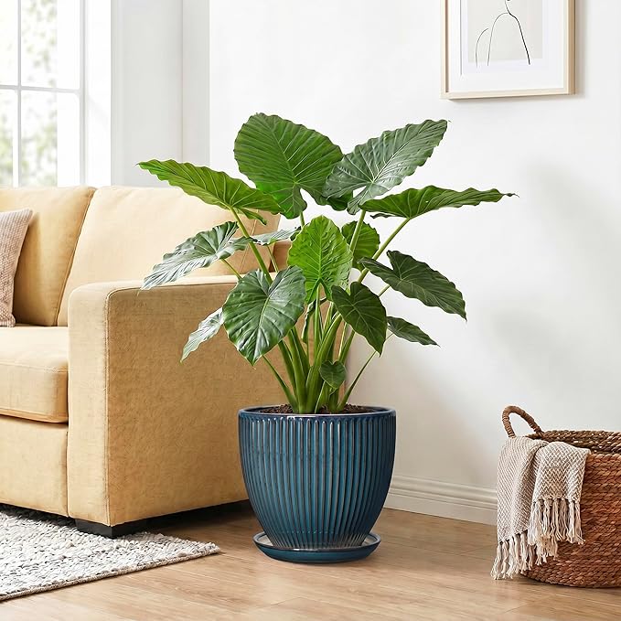 Ceramic Planter, 10 Inch Plant Pot with Drainage Hole and Saucer, Round Planters for Indoor Plants, Decorative Plant Pots, Modern Planter, Living Room Decor, Gifts for Plant Lovers, Retro Blue