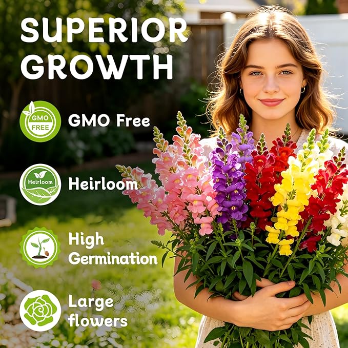LUOJIBIE Snapdragon Seeds, 10,0000+ Tetra Mix Snapdragon Seeds for Planting (Antirrhinum Majus) Fairy Bouquet Blend, Non-GMO Heirloom Annual Flower Garden Seeds Bulk for Outdoor & Indoor