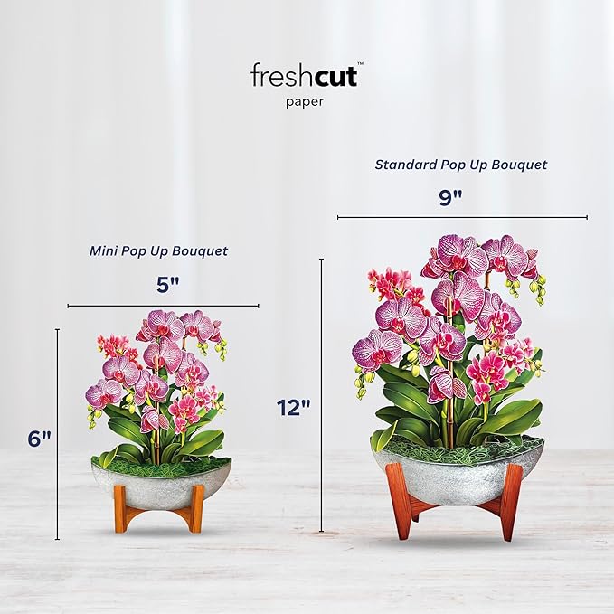 Freshcut Paper Pop Up Cards, Mini Orchid Oasis (Set of 2), 6 Inch Mini Sized Forever Flower Bouquet 3D Popup Greeting Cards, Birthday Card, Get Well Gifts, Blank Notecard & Envelope