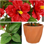 Briful Artificial Hibiscus Flowers in Pot, 14.1" Faux Tropical Flower Plant for Outdoor Porch, Potted Red Hibiscus Tabletop Decor for Living Room, Dining Table, Kitchen, Office, Indoor Home Décor