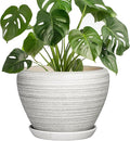 Indoor Plant Pots 8 Inch - Ceramic Plant Pots with Drainage Hole and Saucer, Large Flower Pot for Indoor Plants Outdoor, Round Planters, Garden Decor, Gifts for Plant Lovers, Textured Grey