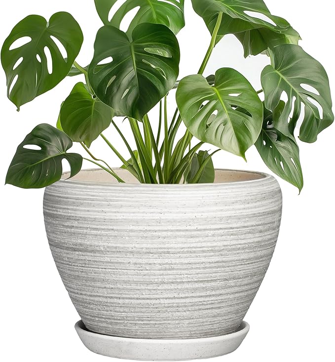 Indoor Plant Pots 8 Inch - Ceramic Plant Pots with Drainage Hole and Saucer, Large Flower Pot for Indoor Plants Outdoor, Round Planters, Garden Decor, Gifts for Plant Lovers, Textured Grey