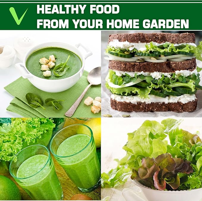 Supreme Set of Heirloom Medicinal Herb, Lettuce, Greens and Salad Seeds - USA Grown - Total 24 Individual Non-GMO Heirloom Seeds for Planting Home Garden Indoor Outdoor and Hydroponic