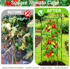 6 Pack Square Tomato Cages for Garden, 45 Inch Adjustable Tomato Stakes, Metal Tomato Trellis, Garden Plant Support for Potted Climbing Plants, Vegetables Flowers Fruits, Raised Garden Bed