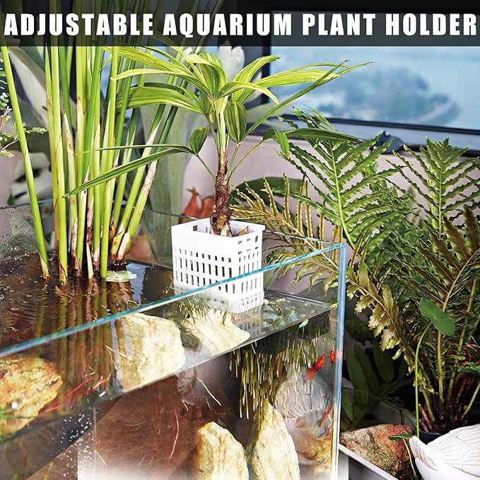 2pcs Upgraded Adjustable Aquarium Plant Holder，Fish Tank Plant Holder，Fish Tank Aquaponics Plant Cultivation and Aquarium Landscape Decoration with Hooks and Suction Cup(White)