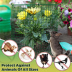 6 Pack Garden Plant Protectors from Animals with Stakes, Metal Mesh and Detachable Covers Wire Plant Cage for Keeping Bunny Animals Out, Chicken Wire Cover Garden Protect (12 * 13 in)