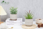 Der Rose 2 Pack Fake Succulents Plants Artificial Succulents in Pots for Room Home Bathroom Bedroom Office Boho Decor