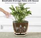 Sureasy Succulent Pots, 3.5 Inch Flower Pots for Indoor Plants, Small Plant Pots with Saucer & Drainage, Decorative Ceramic Planters for Succulent, Cactus, Set of 4, Green