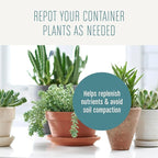 Miracle-Gro Succulent Potting Mix - Potting Soil Mix for Indoor Succulents, Aloe Vera and More, Made with Miracle-Gro Plant Food, 4 qt.