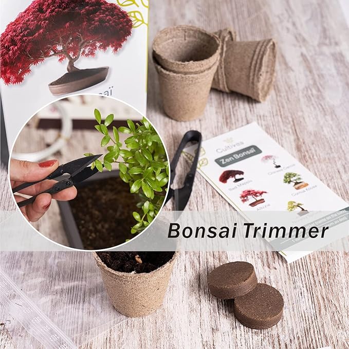JINJIAN Bonsai Pruning Scissors 6 PCS - Small Pruner Shears Bud Leaves Trimmer Garden Shears for Plants, Gardening Clippers for Flower Bonsai Trimming Pruners