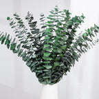 Tavkite 16 Pcs Dried Eucalyptus Stems, 17'' Natural Fresh Eucalyptus Leaves Branches Hanging for Shower, Preserved Real Plant Live Greenery for Home SPA Wall Bathroom Wedding Party Vase Decor