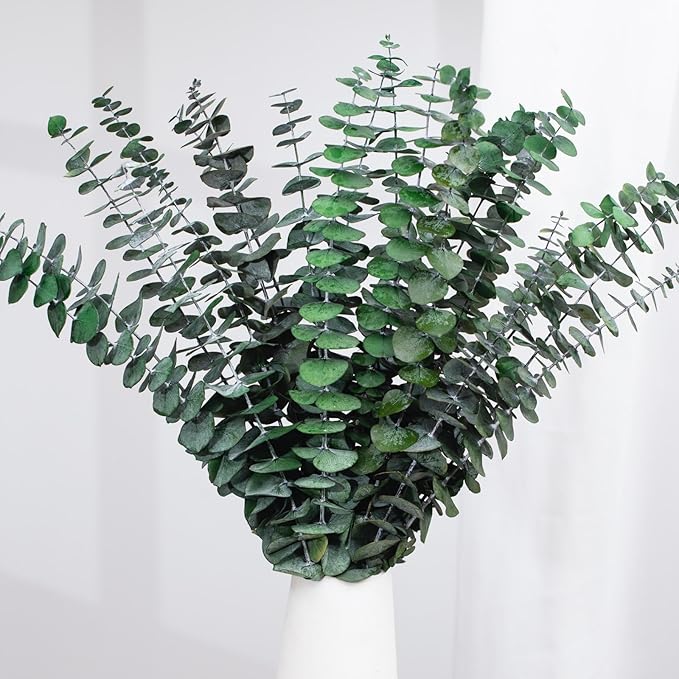 Tavkite 16 Pcs Dried Eucalyptus Stems, 17'' Natural Fresh Eucalyptus Leaves Branches Hanging for Shower, Preserved Real Plant Live Greenery for Home SPA Wall Bathroom Wedding Party Vase Decor