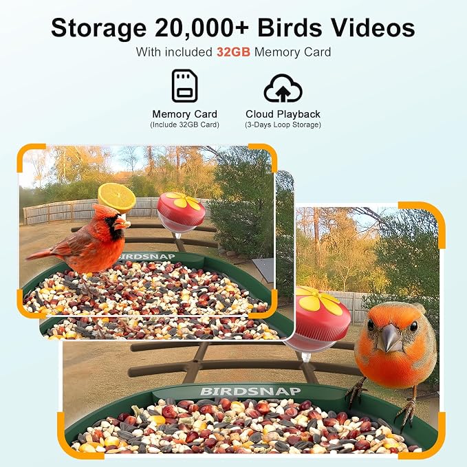 birdsnap® PAV-Bird Feeder with Camera,2K HD with 32GB Card, AI Identify Smart Bird House Cam Solar Panel,Live Stream,Motion Detection,Auto Record Video for Backyard Outdoors,Ideal Gift for Bird Lover