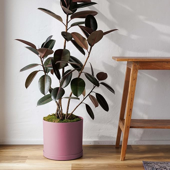 Bloem Mathers 10" Dusty Rose Round Modern Resin Garden Planter Pot with Drainage Holes and Removable Saucer Tray Included
