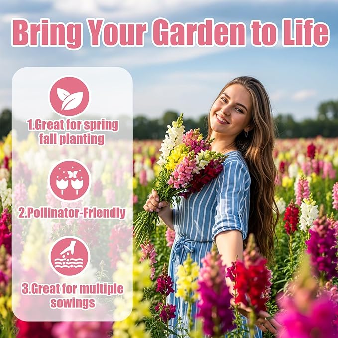 10000+ Snapdragon Seeds Bulk Pack, 5-Color Mixed Snapdragon Flower Seeds for Planting, Antirrhinum Majus Seeds for Borders, Pots, Flower Beds & Cut Flower Gardens, Instructions Included