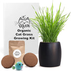 Best Value Organic Cat Grass Growing kit, Seed and Soil for 4 plantings.Cat Toy Gift to Cats as Well as Hairball Remedy. (Ebony)