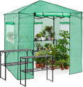 EAGLE PEAK 7x7 Portable Walk in Greenhouse, Pop Up Indoor Outdoor Greenhouse, Green House Kit with Zippered Roll-Up Doors and Windows + Mesh Lining & 2 Foldable Shelves, PE Cover, Clear/Green