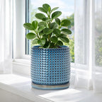 D'vine Dev 6 Inch Ceramic Beaded Stoneware Planter Pot - Flower Pot with Drainage Holes and Saucers for Indoor Succulent Plants or Flowers, Ocean Teal, 27-C-X-8