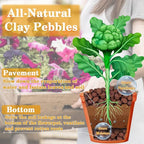 Legigo 7 LB Organic Leca Clay Pebbles for Plants, 4mm-16mm 100% Natural Leca Balls for Indoor Plants, Hydroton Clay Pebbles for Plants Hydroponic Aquaponics Growing Orchid Drainage Terrarium