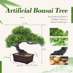 Der Rose 2Pcs Small Fake Plants Artificial Bonsai Tree Set Ficus and Cedar for Office Desk Shelf Room Home Zen Decor Indoor