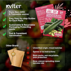 KVITER 50 Black Beauty Zucchini Seeds for Planting (Cucurbita Pepo) – Non-GMO Heirloom Vegetable Seeds, Open Pollinated – Summer Squash for Outdoors Planting in Garden, Raised Mounds, Containers