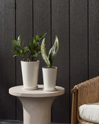 Bamworld Plant Pots Planters for Indoor Plants Flower Pots with Drainage Holes 5.5/6.5 Inch Set of 2 Plastic Planters for Outdoor Plants Garden Pots for Office Room Home Decor White