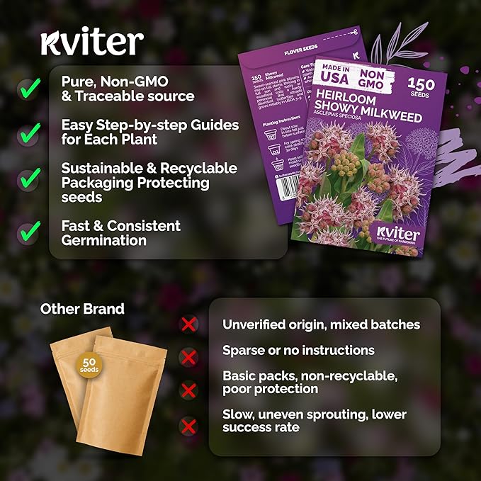 KVITER 150 Showy Milkweed Seeds (Asclepias Speciosa) - Greek Milkweed, Perennial Wildflower, Pink-Purple Blooms, Butterfly Magnet - Flower Seeds in Seed Packets for Outdoor Gardens and Borders