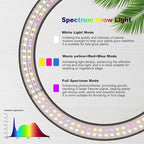 10" Grow Lights for Indoor Plants Full Spectrum, 160 LEDs Large Plant Light for Indoor Plants, Height Adjustable 11"-65" Growing Lamp with Auto On/Off Timer 3/9/12H, 9 Dimmable Brightness,White