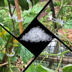 Tomato Clips for String Trellis - Plant Support Trellis Clip for Climbing Plants Garden Vegetables, Bulk Vine & Tomato Plant Clips (White-100Pcs)