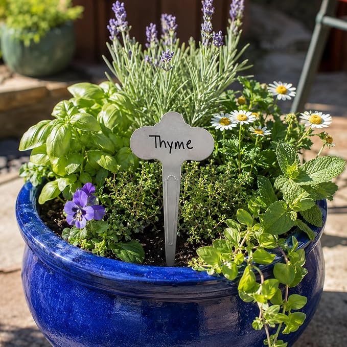 60 Pack Metal Plant Labels 6-1/2" x 3-1/2" Stainless Steel Outdoor Reusable Plant Name Tags Waterproof Garden Seed Labels Makers for Flowers Vegetable Pots Seedlings Herbs