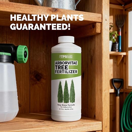Arborvitae Tree Fertilizer – Liquid Plant Food for Fuller Green Foliage, Faster Growth & Stronger Root Development, 1 Gallon