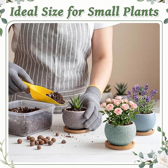 Thenshop 12 Pcs Small Succulent Pots Set with Drainage 3 Inch Plant Pots Ceramic Succulent Planters with Bamboo Saucers 6 Colors Small Planters for Cactus, Herbs, Mini Plants