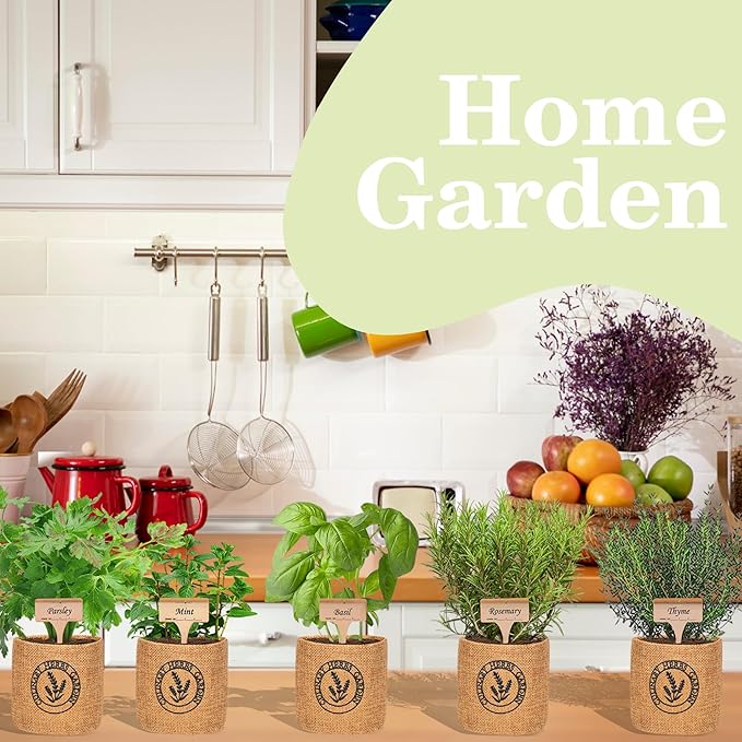 Herb Indoor Garden Kit- Unique Chrismas Herb Gardening Gift, Home Kitchen Gift for Mom, Friends, and Gardeners (Basil, Parsley, Mint, Thyme, Rosemary)