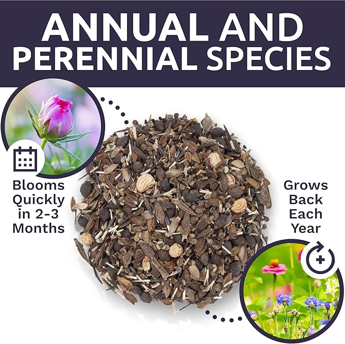 Bulk Wildflower Seeds Butterfly and Hummingbird Mix - 1 Pound Bag - Over 120,000 Open Pollinated Annual and Perennial Seeds