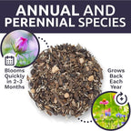 Bulk Wildflower Seeds Butterfly and Hummingbird Mix - 1 Pound Bag - Over 120,000 Open Pollinated Annual and Perennial Seeds