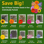 10 Varieties Flower Seeds in Individual Packs, 66,600+ Non-GMO Seeds Indoor Outdoor, Includes Zinnia Lavender Sunflower Marigold Cosmos Nasturtium Snapdragon Borage Yarrow Calendula, Wildflower Seeds