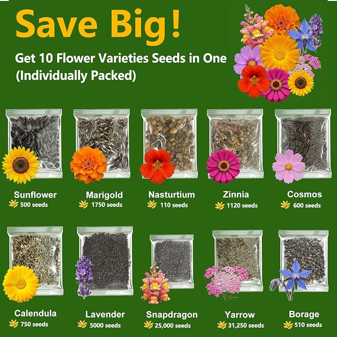 10 Varieties Flower Seeds in Individual Packs, 66,600+ Non-GMO Seeds Indoor Outdoor, Includes Zinnia Lavender Sunflower Marigold Cosmos Nasturtium Snapdragon Borage Yarrow Calendula, Wildflower Seeds