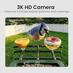 HEAPETS Bird Feeder with Camera Solar Powered, 3K HD Video, AI Bird Recognition, Auto Capture with Instant Notifications, IP65 Weatherproof, Gifts for Fathers Day, Brown