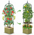 Raised Garden Bed Planter Box with Trellis, 71" Self-Watering Tomato Planter with Trellis for Climbing Vegetable and Plants, Tomato Cage Planters for Indoor Outdoor Patio Greenhouse Gardening (1Pack)